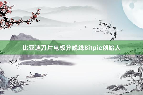 比亚迪刀片电板分娩线Bitpie创始人