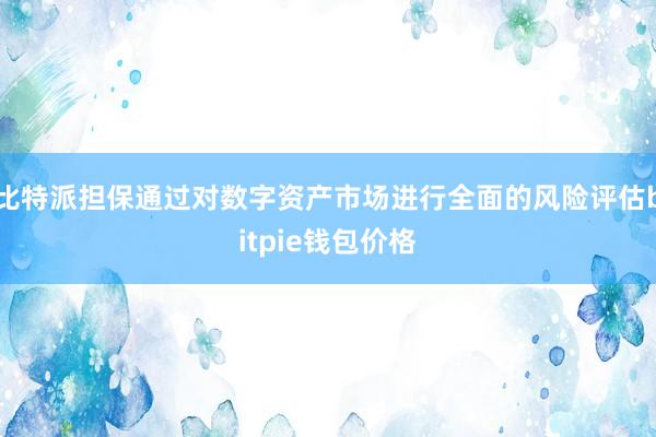 比特派担保通过对数字资产市场进行全面的风险评估bitpie钱包价格