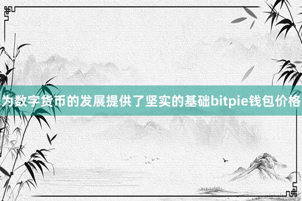 为数字货币的发展提供了坚实的基础bitpie钱包价格