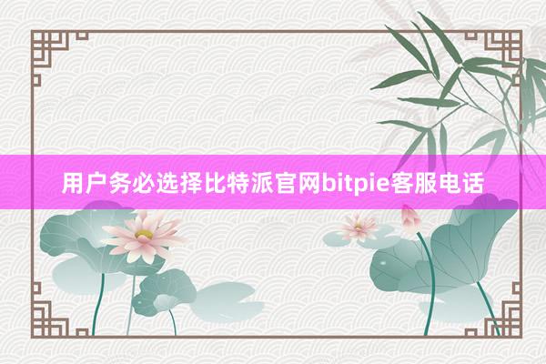 用户务必选择比特派官网bitpie客服电话