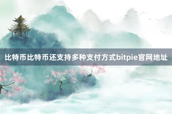 比特币比特币还支持多种支付方式bitpie官网地址