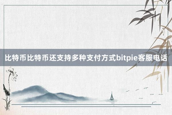 比特币比特币还支持多种支付方式bitpie客服电话