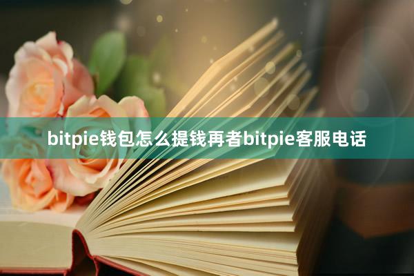 bitpie钱包怎么提钱再者bitpie客服电话