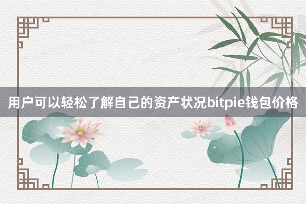 用户可以轻松了解自己的资产状况bitpie钱包价格