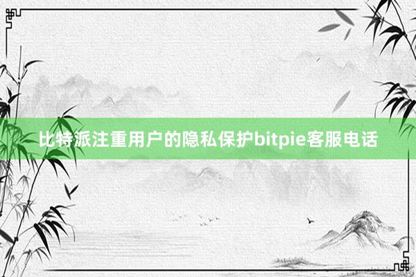 比特派注重用户的隐私保护bitpie客服电话