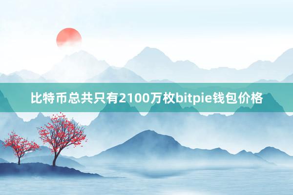 比特币总共只有2100万枚bitpie钱包价格