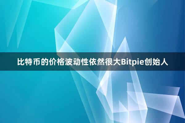 比特币的价格波动性依然很大Bitpie创始人