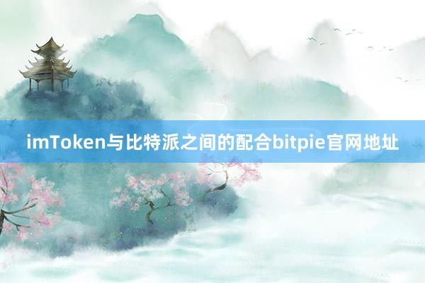 imToken与比特派之间的配合bitpie官网地址