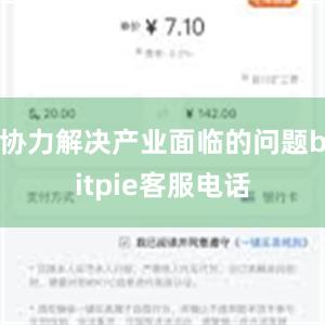 协力解决产业面临的问题bitpie客服电话